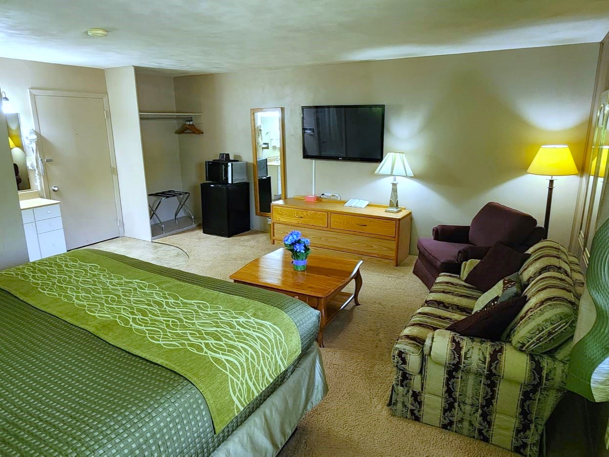 King Suite Room's Furniture and Appliances